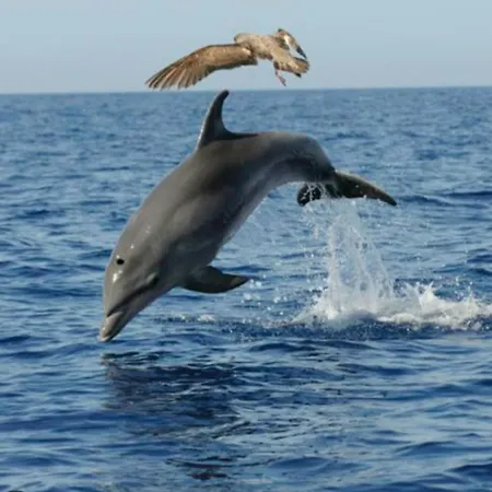 La Casita Appartamento