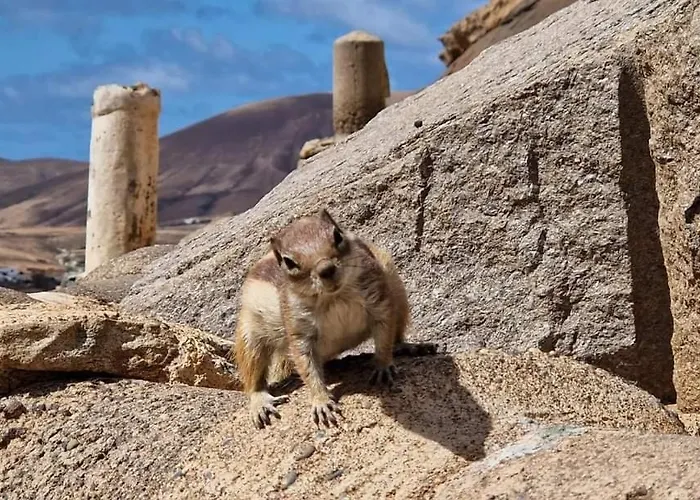 La Casita * Corralejo