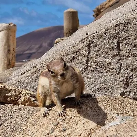 La Casita * Corralejo
